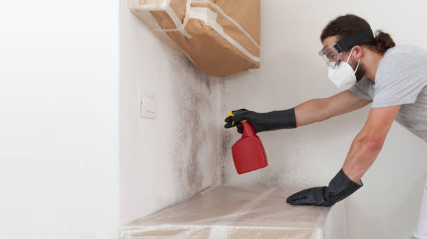 Professional Mold Removal technician working in Highland Park, NJ