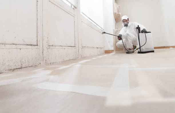 24/7 Emergency Mold Removal experts in Highland Park, NJ