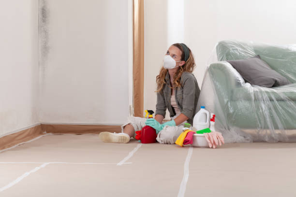 Reliable Mold Removal contractor in Highland Park, NJ by 24 Hour Mold Removal